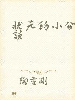 状元的小公主小说封面