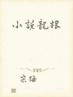 小说龙根封面