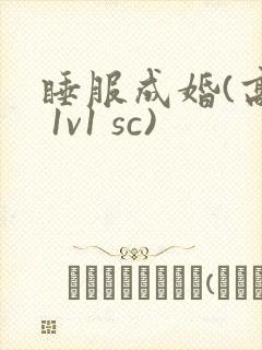 睡服成婚(高h 1v1 sc)