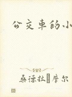 公交车的小说封面