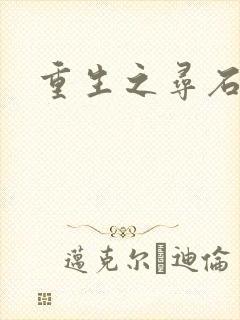 重生之寻石者