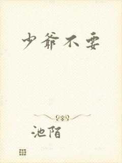 少爷不要
