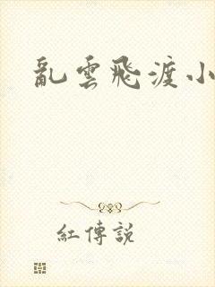 乱云飞渡小说