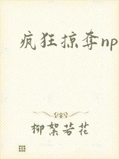 疯狂掠夺npc