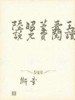陆昭菱晋王的小说免费阅读