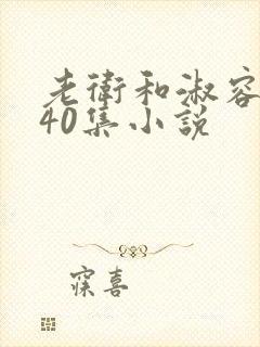 老卫和淑容1-40集小说