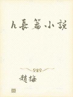 h长篇小说