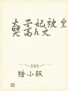太子妃被皇上c哭高h文封面