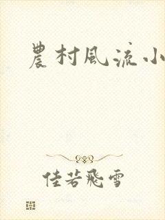 农村风流小说