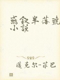 燕钗半落琥珀糖小说