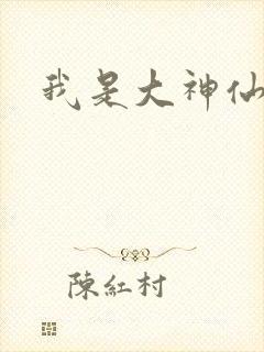 我是大神仙小说