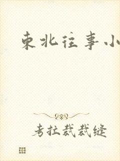 东北往事小说