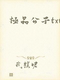 极品公子txt