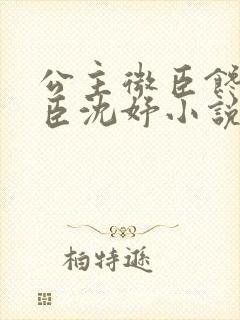 公主微臣馋了微臣沈妤小说