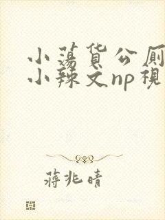 小荡货公厕h文小辣文np视频