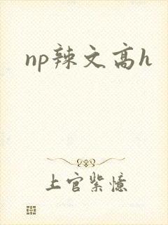 np辣文高h