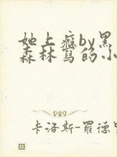 她上瘾by黑暗森林写的小说免费阅读无弹窗