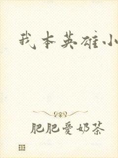 我本英雄小说