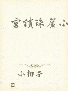 宫锁珠帘小说
