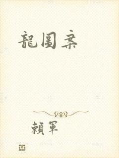 龙图案