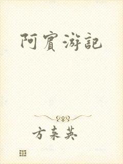 阿宾游记