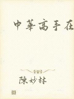 中华高手在异世封面