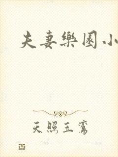 夫妻乐园小说封面