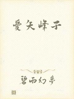爱矢峰子封面