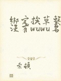 绑定挨草系统后没有wuwu名字
