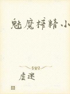魅魔榨精小说封面