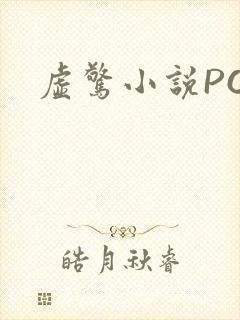 虚惊小说PO