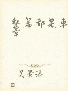整篇都是车的文章