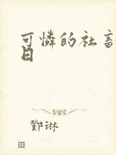 可怜的社畜东度日