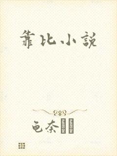 靠比小说封面