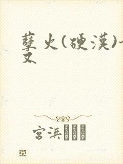 孽火(硬汉)今又