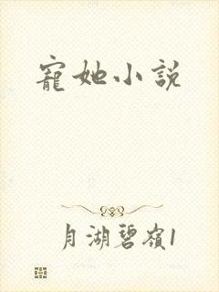 宠她小说