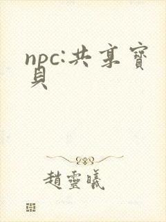 npc:共享宝贝