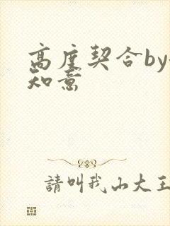 高度契合by洛知意封面