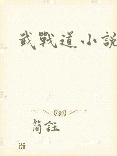 武战道小说