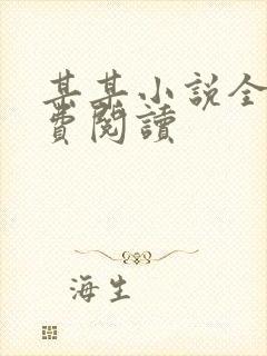 某某小说全文免费阅读封面