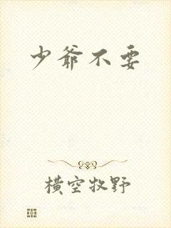 少爷不要