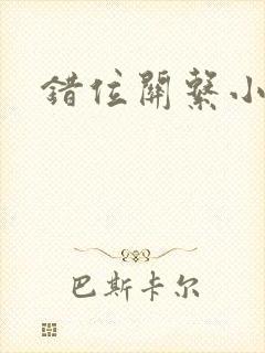 错位关系小说