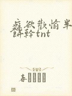 瘾欲欢愉半块小饼干tnt