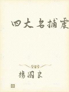 四大名捕震关东封面
