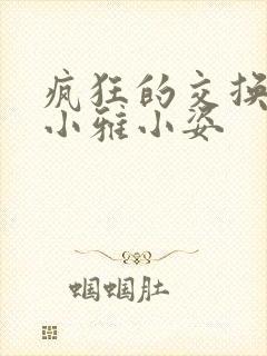 疯狂的交换小静小雅小姿封面