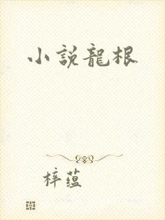 小说龙根