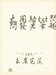 大团结txt闪闪发光笔趣阁