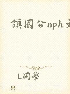 镇国公nph文封面