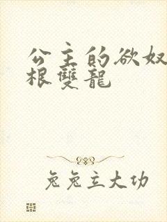 公主的欲奴h四根双龙