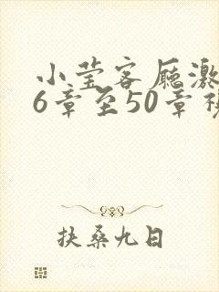 小莹客厅激情46章至50章视封面